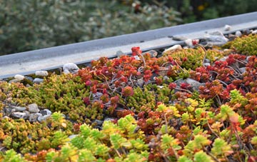 the cost of Kingsteignton green roof installation