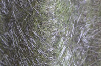 Kingsteignton fibreglass roof work